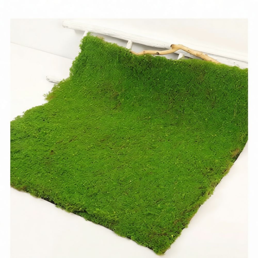 Faux Moss Turf Mat Artificial  - Preserved Moss Sheet 评论和价格