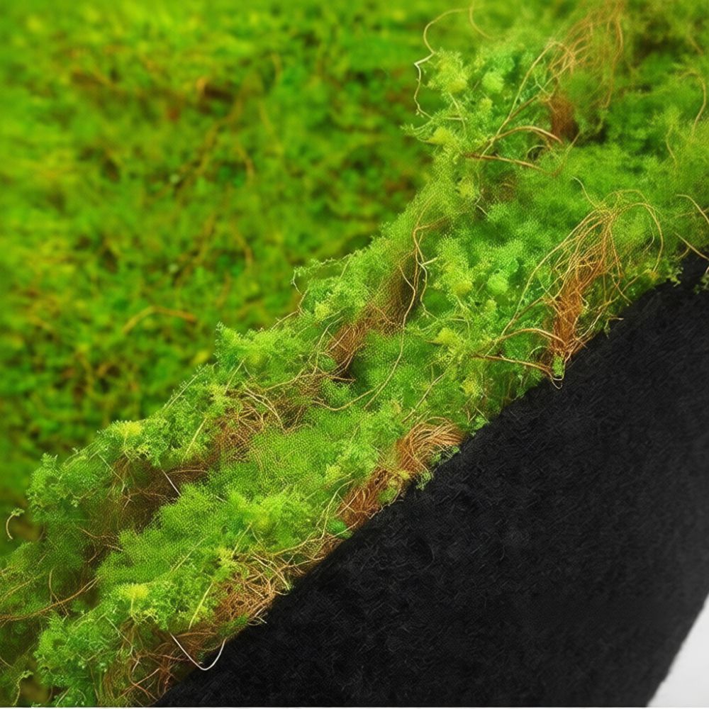 Faux Moss Turf Mat Artificial  - Preserved Moss Sheet 评论和价格