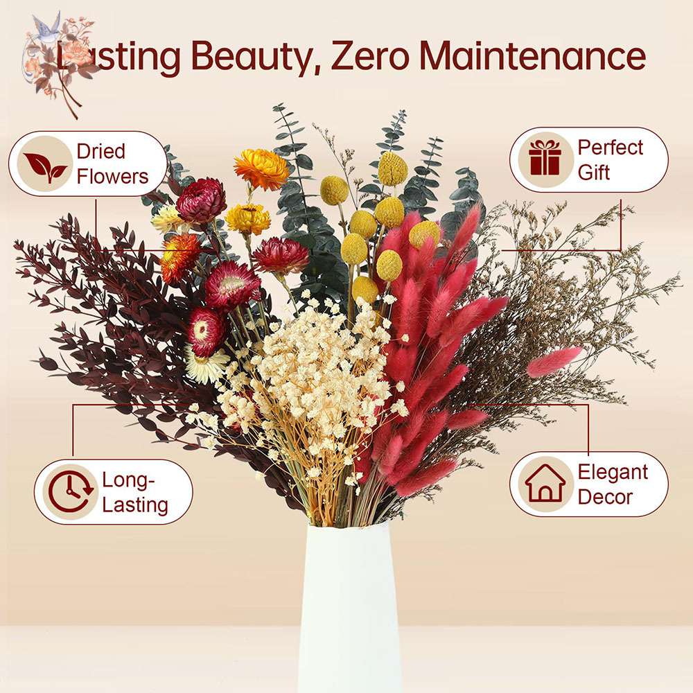 Dried Flowers Bulk Set 7 Kinds - Florist Flower Supply 评论和价格