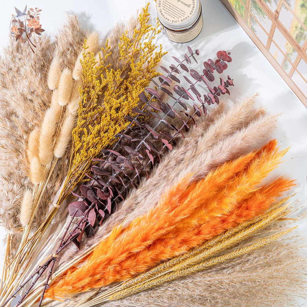 60pcs Orange Pampas Grass Drie - Eucalyptus Preserved 评论和价格