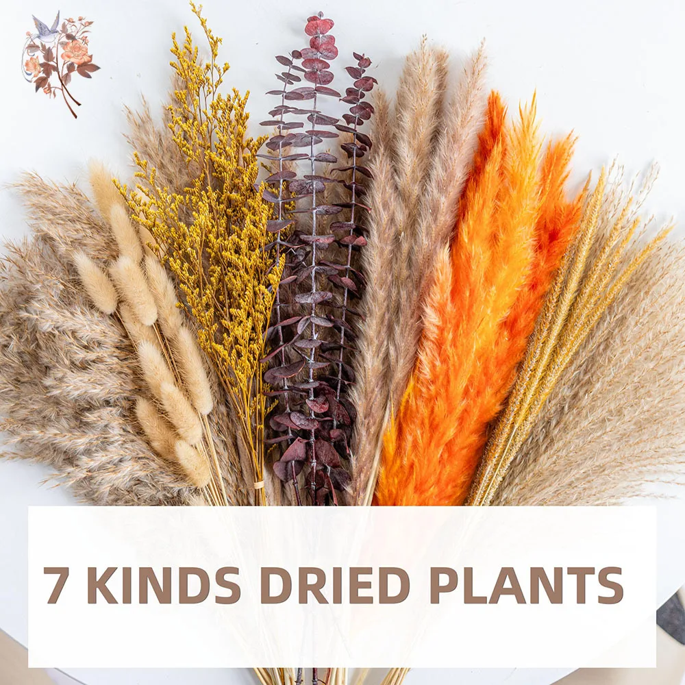 60pcs Orange Pampas Grass Drie - Eucalyptus Preserved 评论和价格