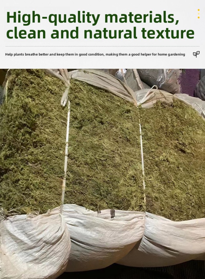 Natural Dried Moss Reptile Ter - Preserved Moss Sheet 评论和价格