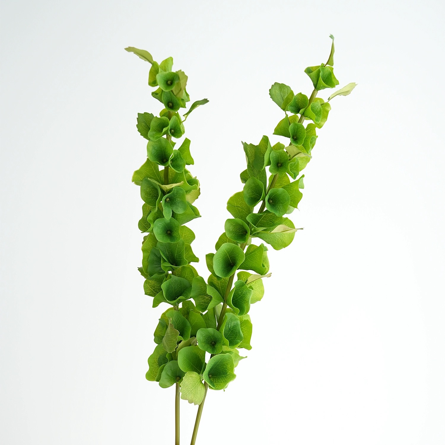 2 pcs Green Artificial Shell F - Florist Supply Bulk 评论和价格