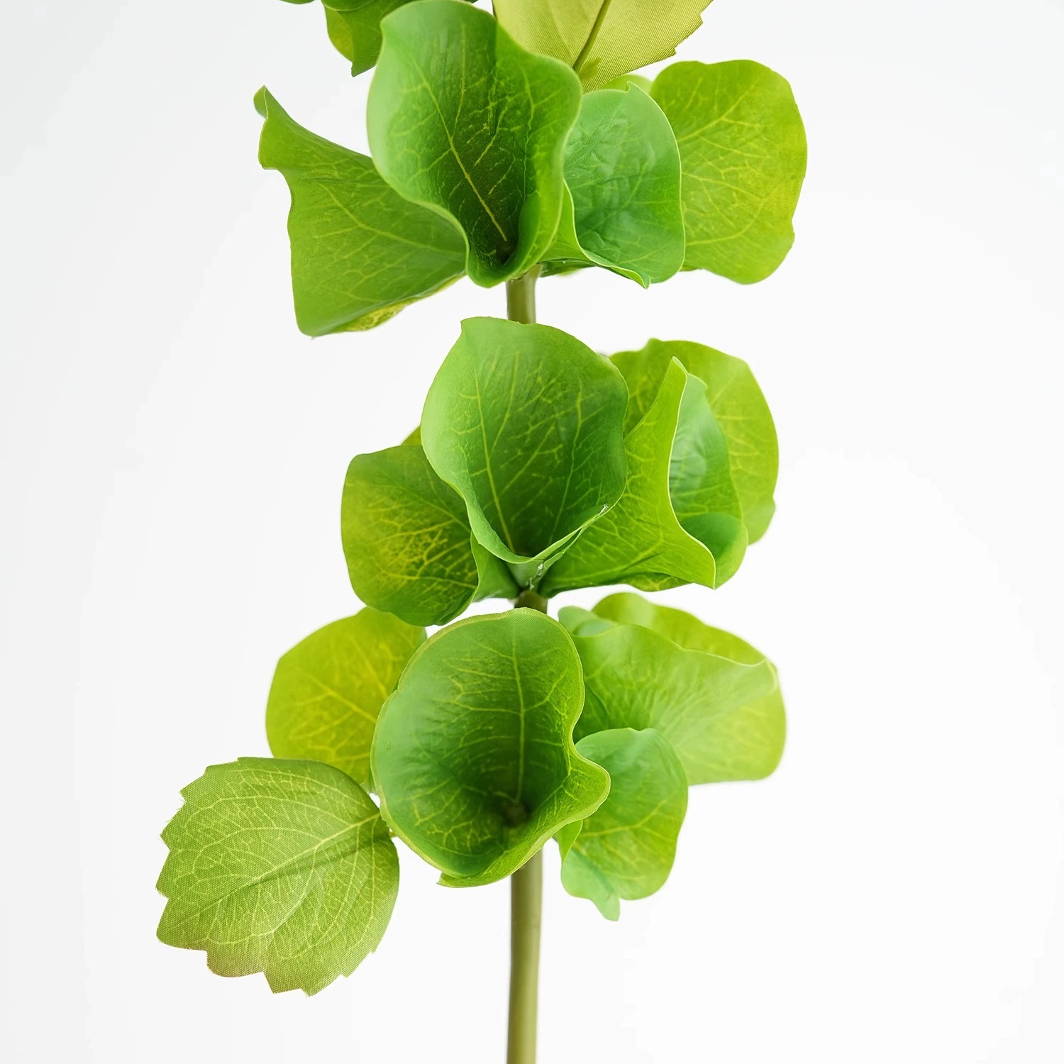 2 pcs Green Artificial Shell F - Florist Supply Bulk 评论和价格