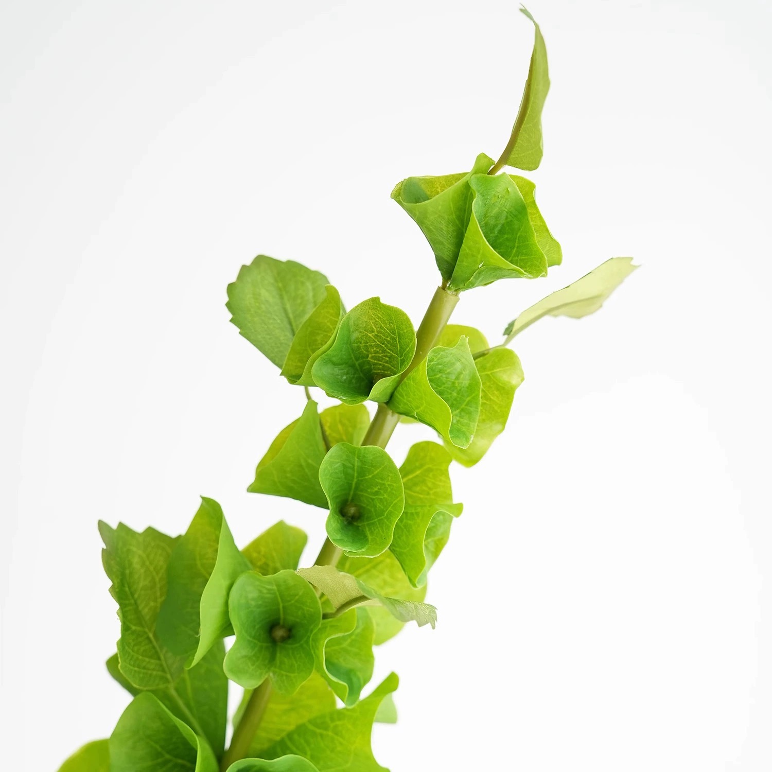 2 pcs Green Artificial Shell F - Florist Supply Bulk 评论和价格